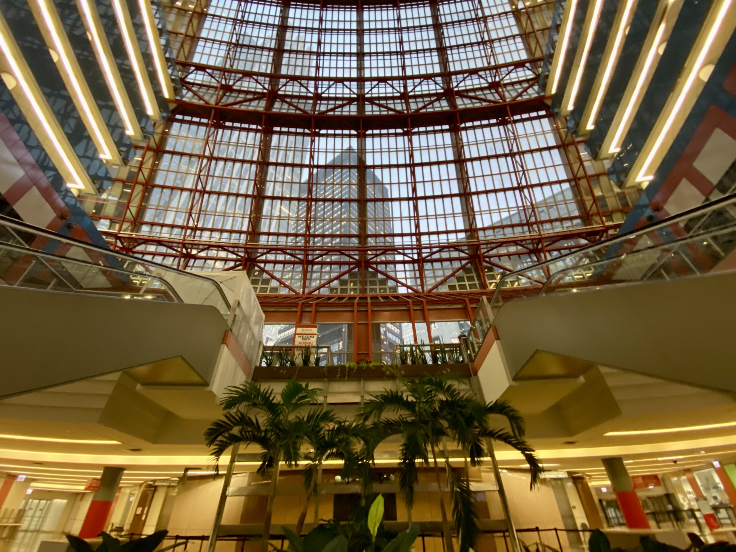 Pedway level of state of Illinois center. Two palm trees between two elevators with camera pointed towards open ceiling inside atrium mall.