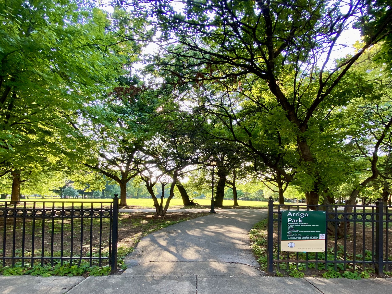 An iron black gate entrance opens to a concrete path that leads visitors through Arrigo Park. The park has grassy fields and trees.